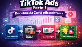 TikTok Ads (Parte 1): Estrutura da Conta e Ecossistema da Plataforma